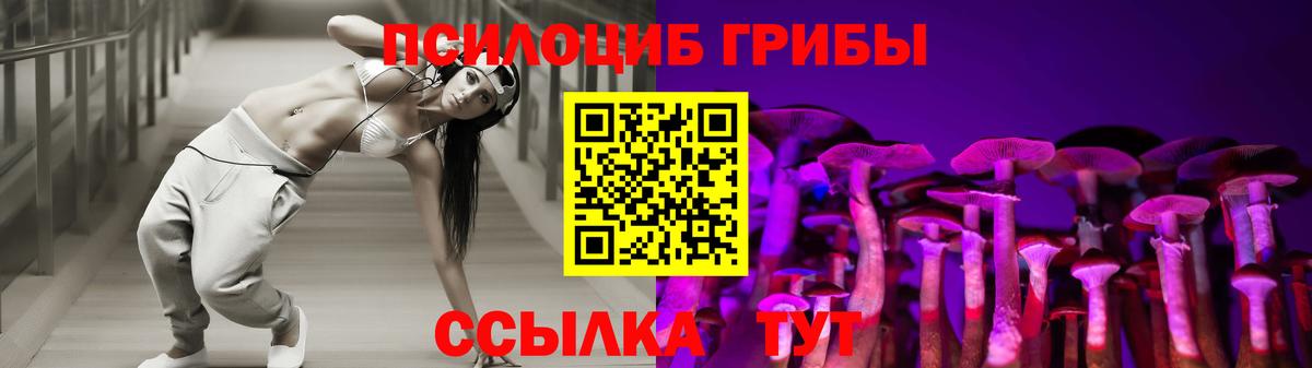 купить наркотики цена  Псилоцибиновые грибы Magic Shrooms  Вход с VPN  Вольск 